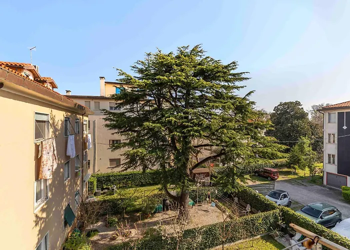 Casa Del Sole Venice Lido Sleep Up To 6, 2 Bathrooms,1 Minute From The Beach Апартаменты